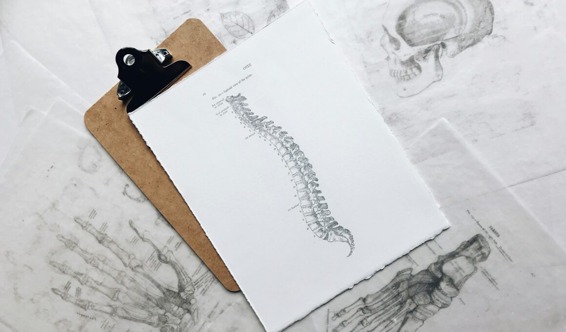 brown and black clipboard with white spinal cord print manual